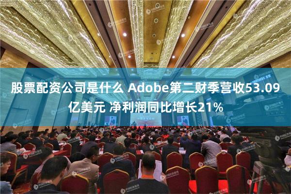 股票配资公司是什么 Adobe第二财季营收53.09亿美元 净利润同比增长21%