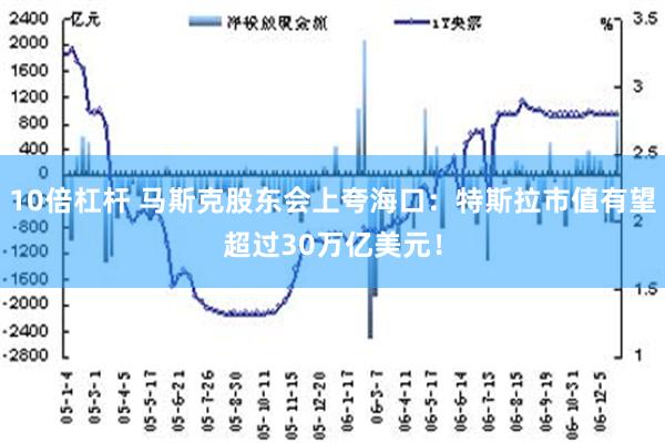 10倍杠杆 马斯克股东会上夸海口：特斯拉市值有望超过30万亿美元！