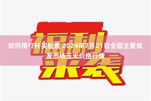 如何用杠杆买股票 2024年7月21日全国主要批发市场玉米价格行情