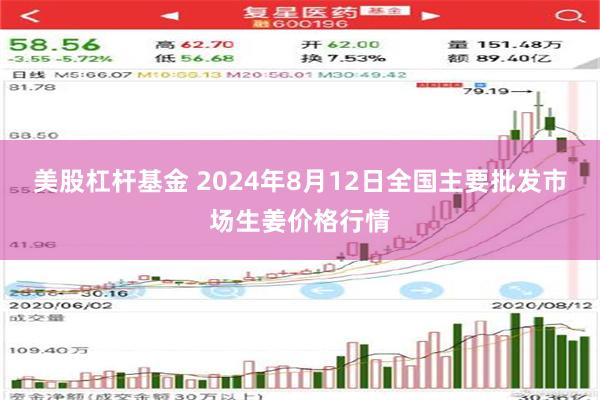 美股杠杆基金 2024年8月12日全国主要批发市场生姜价格行情