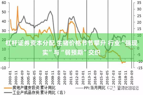 杠杆证券资本分配 生猪价格节节攀升 行业“强现实”与“弱预期”交织