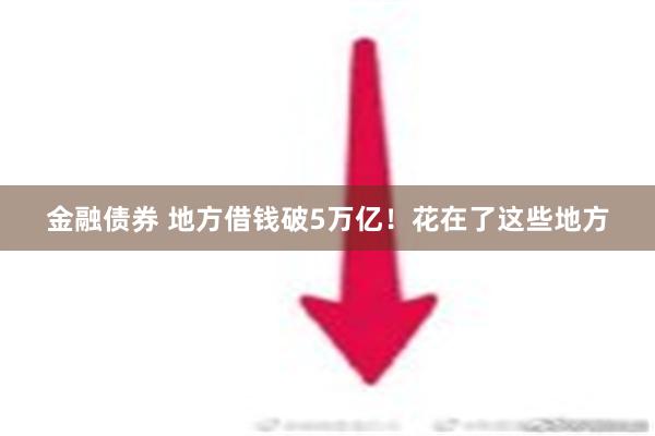 金融债券 地方借钱破5万亿！花在了这些地方