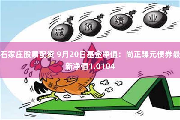 石家庄股票配资 9月20日基金净值：尚正臻元债券最新净值1.0104