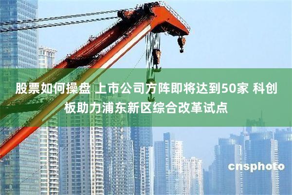 股票如何操盘 上市公司方阵即将达到50家 科创板助力浦东新区综合改革试点