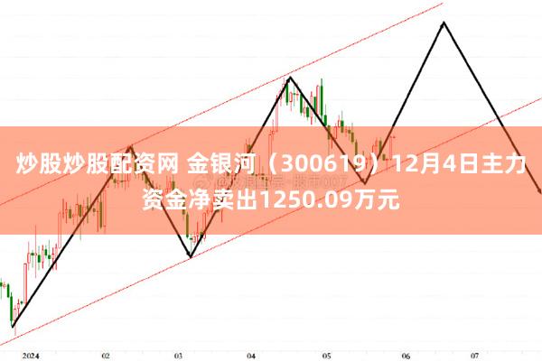 炒股炒股配资网 金银河（300619）12月4日主力资金净卖出1250.09万元