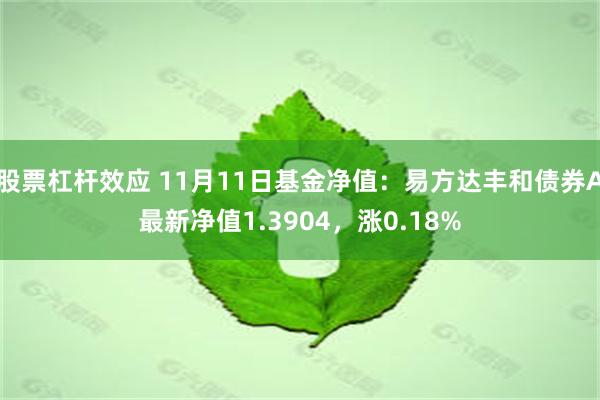 股票杠杆效应 11月11日基金净值：易方达丰和债券A最新净值1.3904，涨0.18%