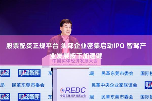 股票配资正规平台 头部企业密集启动IPO 智驾产业发展按下加速键