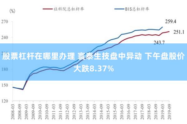 股票杠杆在哪里办理 寰泰生技盘中异动 下午盘股价大跌8.37%