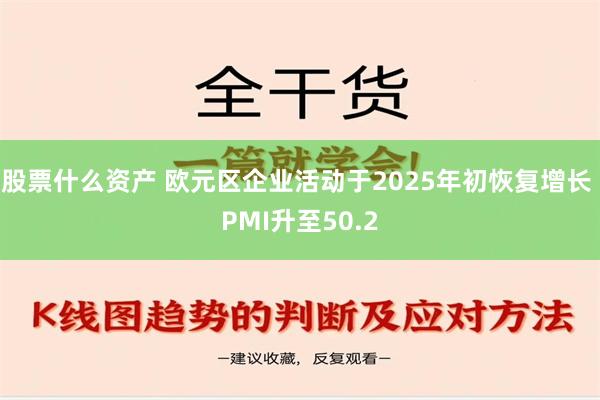 股票什么资产 欧元区企业活动于2025年初恢复增长 PMI升至50.2